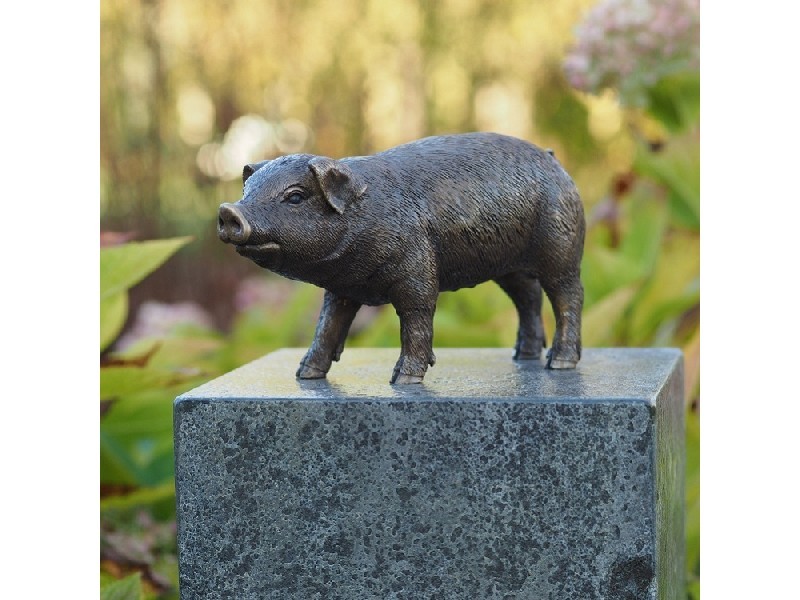 Tuinbeeld - bronzen beeld - Varken - Bronzartes - 12 cm hoog