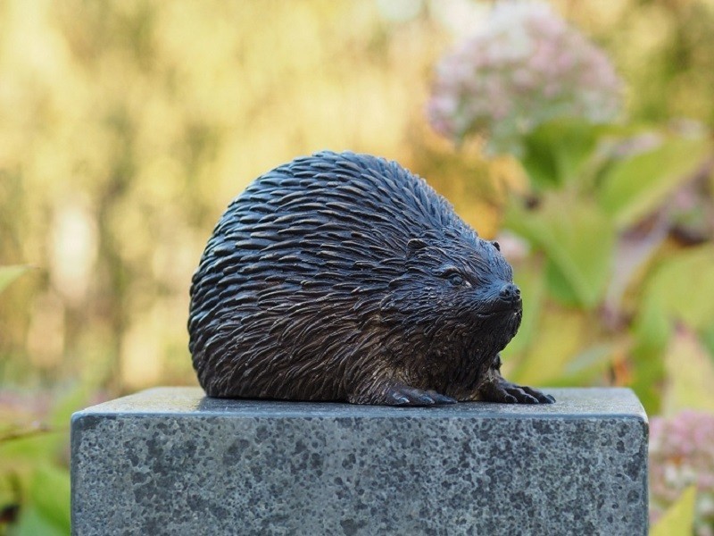 Tuinbeeld - bronzen beeld - Egel - Bronzartes - 13 cm hoog