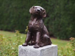 Tuinbeeld - bronzen beeld - Puppy - Bronzartes - 36 cm hoog Bronzartes