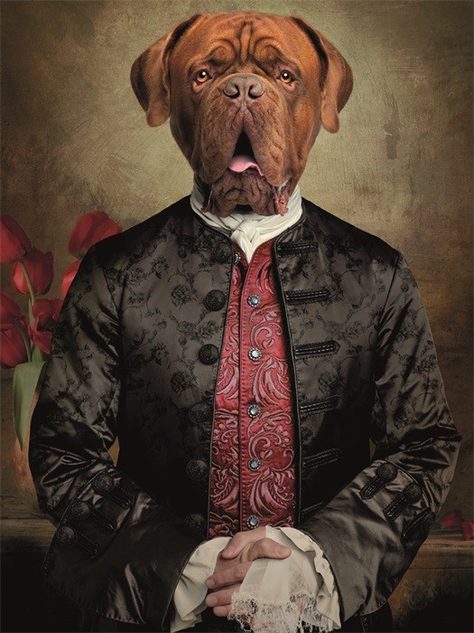 Verwant Overeenkomend Ontbering Dibond schilderij - huisdier portret - Bordeaux hond - 60x80 cm - aluminium  schilderij - aluart - exclusieve collectie - trendybywave.nl