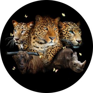 Ter Halle glasschilderij - rond schilderij - wilde dieren