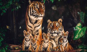 glasschilderij tijgerfamilie | wanddecoratie | Posterjunkie 001| 118x70cm Wandkraft dieren