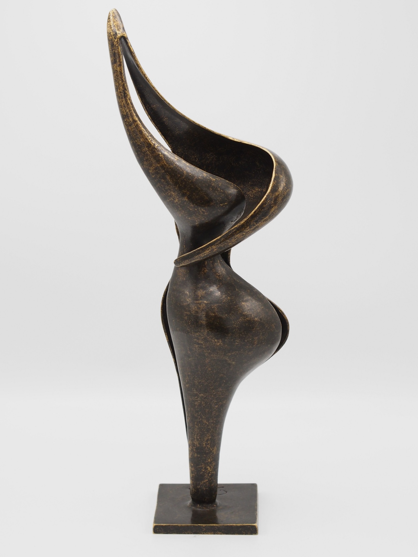 Tuinbeeld - bronzen beeld - Abstract sculptuur