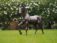 Tuinbeeld - bronzen beeld - Paard