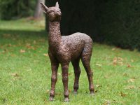 Tuinbeeld - bronzen beeld - Baby alpaca Bronzartes