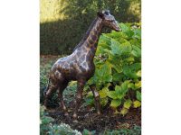 Tuinbeeld - bronzen beeld - Kleine giraf Bronzartes