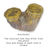 Barnsteenfossiel - Vlinder - polyresin - 10 cm hoog