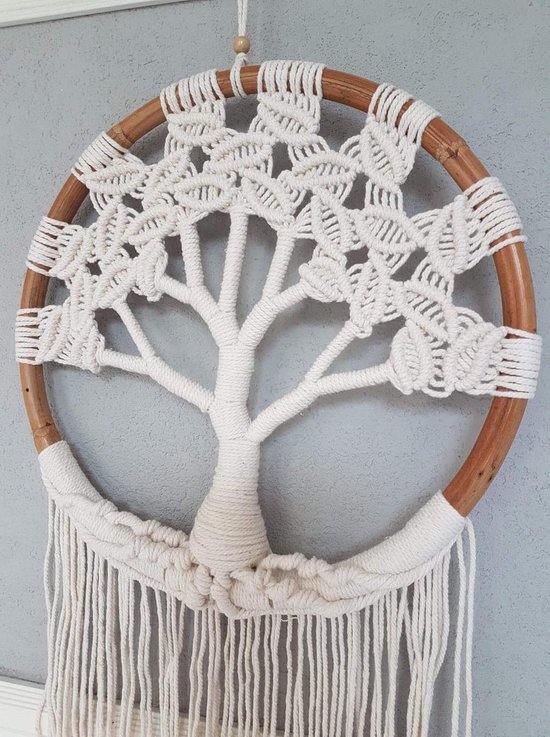 Macramé Hanger: Boom des Levens