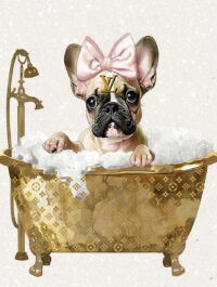 Franse bulldog en Louis Vuitton